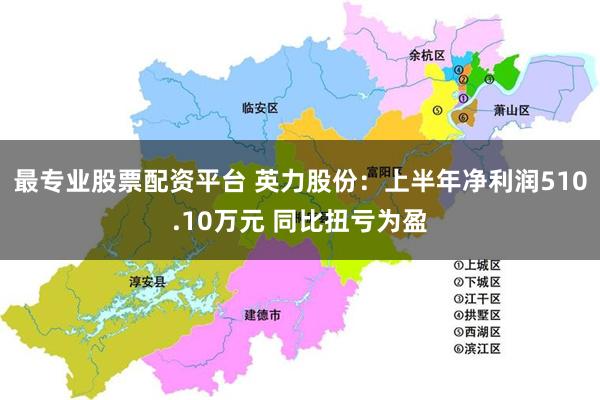 最专业股票配资平台 英力股份：上半年净利润510.10万元 同比扭亏为盈