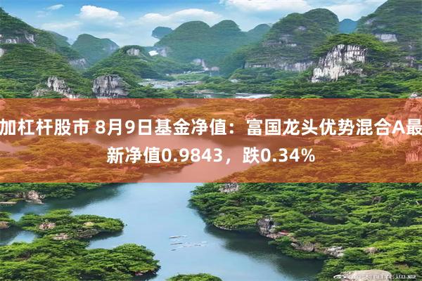 加杠杆股市 8月9日基金净值：富国龙头优势混合A最新净值0.9843，跌0.34%