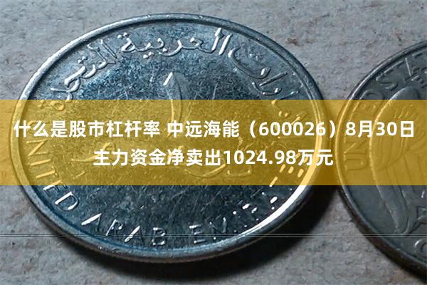 什么是股市杠杆率 中远海能（600026）8月30日主力资金净卖出1024.98万元