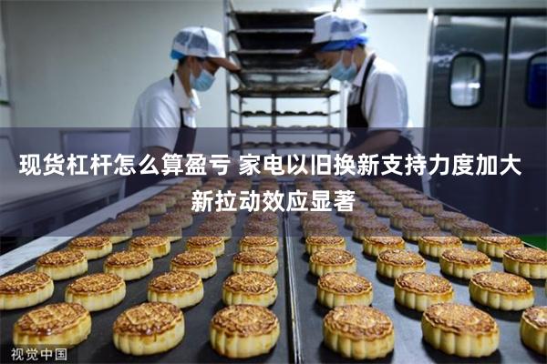 现货杠杆怎么算盈亏 家电以旧换新支持力度加大 新拉动效应显著