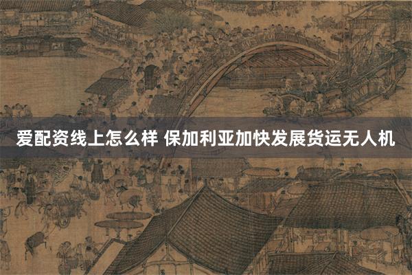 爱配资线上怎么样 保加利亚加快发展货运无人机