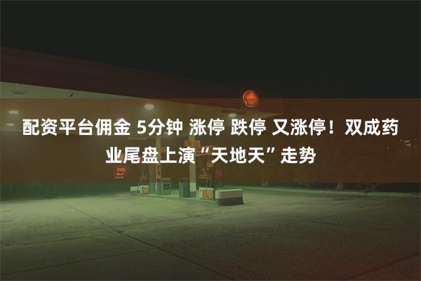 配资平台佣金 5分钟 涨停 跌停 又涨停！双成药业尾盘上演“天地天”走势