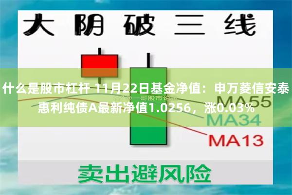 什么是股市杠杆 11月22日基金净值：申万菱信安泰惠利纯债A最新净值1.0256，涨0.03%