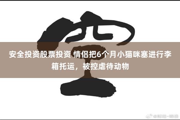 安全投资股票投资 情侣把6个月小猫咪塞进行李箱托运，被控虐待动物